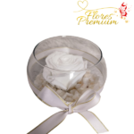 ROSA PRESERVADA EN PECERA Y PIEDRAS