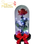 ROSA PRESERVADA EN CÚPULAS Y LUCES