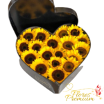 CAJA CORAZON DE MARAVILLAS