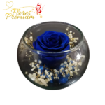 ROSA PRESERVADA EN PECERA CON ILUMINACION