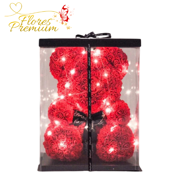 118.png OSO TEDDY CON LUZ - Imagen 1