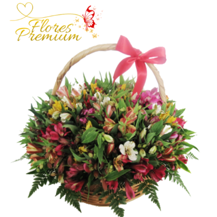 CANASTA MEDIANA DE ASTROMELIAS