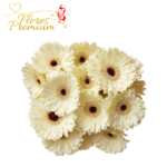 10 GERBERAS A GRANEL