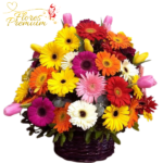 CANASTA DE GERBERAS Y TULIPANES