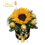 BOX DE 1 GIRASOL, 6 BOMBONES FERREROS ROCHER
