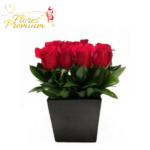 ARREGLO DE 12 ROSAS IMPORTADAS