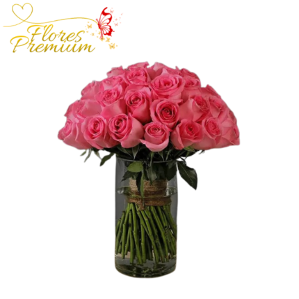 FLORERO 50 ROSAS