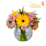 PECERA DE 6 GERBERAS