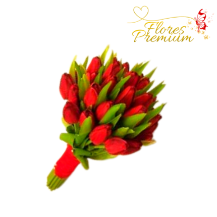 BOUQUET DE 40 TULIPANES
