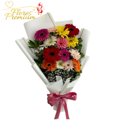 DELICADO RAMO DE 15 GERBERAS