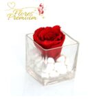 ROSA PRESEEVADA EN CUBO