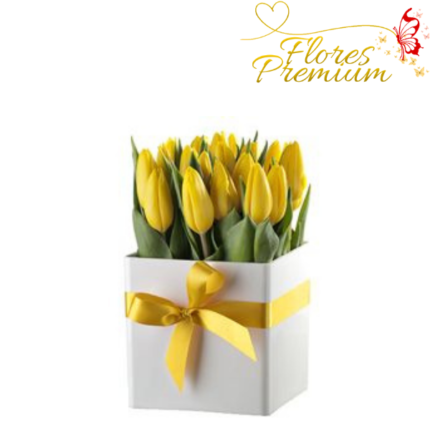 CAJA CUADRADA DE 20 TULIPANES