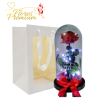 ROSA PRESERVADA EN CÚPULAS Y LUCES