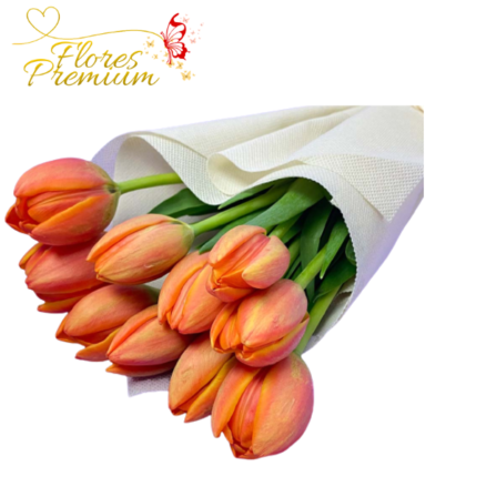 10 TULIPANES A GRANEL