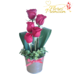 MACETA DE 5 ROSAS IMPORTADAS Y FOLLAJE