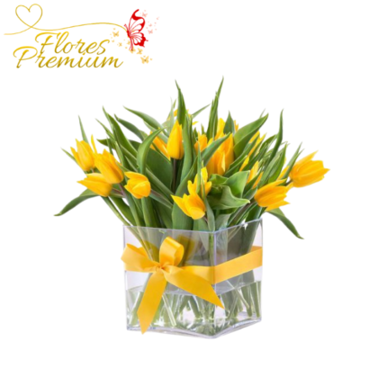 CUBO DE 20 TULIPANES