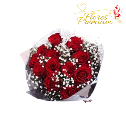 RAMO DE 12 CON GYPSUM