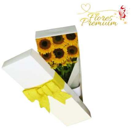 CAJA VISORA DE 6 GIRASOLES