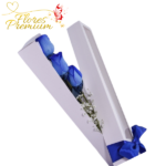 CAJA VISORA DE 3 ROSAS AZULES
