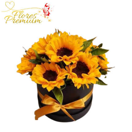 BOX DE 10 GIRASOLES Y FOLLAJE