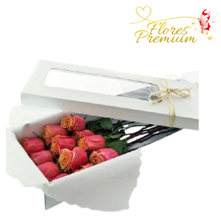 CAJA DE 10 ROSAS