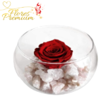 PECERA CON ROSA PRESERVADA Y PIEDRAS