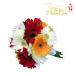 BOUQUET DE 20 GERBERAS
