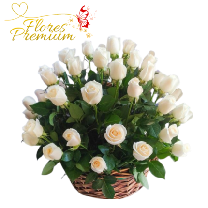 CANASTA DE 50 ROSAS IMPORTADAS Y FOLLAJE