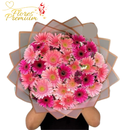 RAMO BUCHON DE 30 GERBERAS