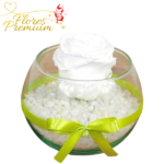 ROSA PRESERVADA EN PECERA Y PIEDRAS