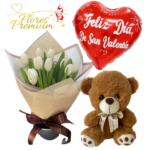 RAMO DE 10 TULIPANES, PELUCHE 20CM Y GLOBO