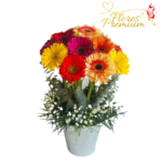 GERBERAS EN ARBOL CON ILUMINACION