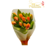 RAMO DE 20 TULIPANES