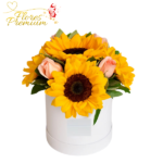 BOX 4 ROSAS 4 GIRASOLES