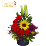 BOX  PARA MAMA 6 ROSAS 1 GIRASOL 1 LILIUM