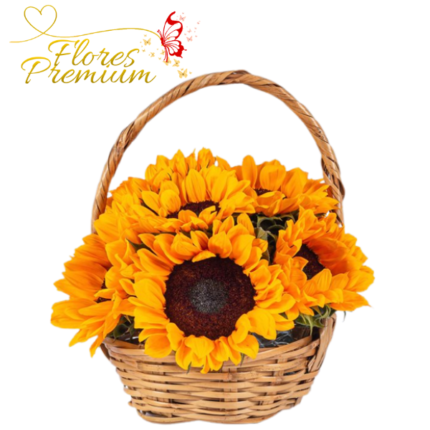 CANASTA DE GIRASOLES