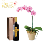 ORQUIDEA DE 1 VARA Y VINO 750 ML