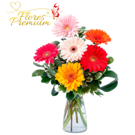 FLORERO DE 6 GERBERAS