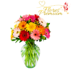 FLORERO DE 15 GERBERAS