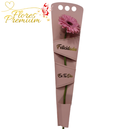 CAJA ABIERTA CON GERBERA