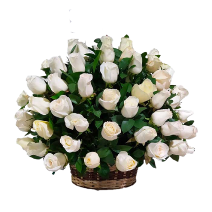 CANASTA DE 50 ROSAS