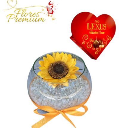 GIRASOL PRESERVADO EN PECERA Y BOMBONES CORAZON