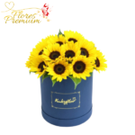 BOX  GRANDE, DE GIRASOLES