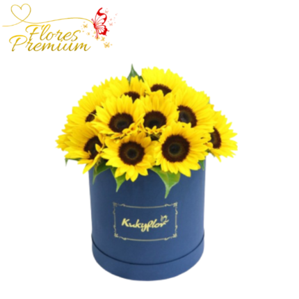 BOX  GRANDE, DE GIRASOLES