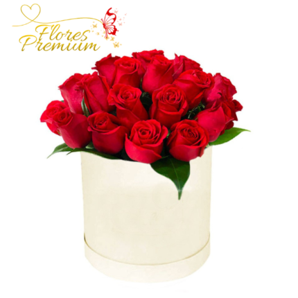 BOX DE 25 ROSAS