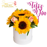 BOX 4 GIRASOL 4 ROSAS + TOPPER