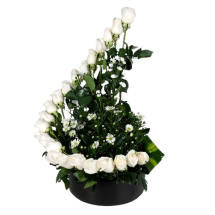ARREGLO ESPIRAL DE 25 ROSAS