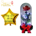 ROSA PRESERVADA EN CÚPULA CON LUCES + GLOBO