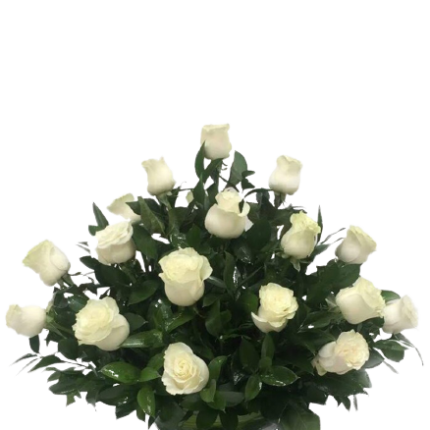 ARREGLO DE CONDOLENCIAS DE 20 ROSAS