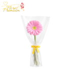 GERBERA DIA DE LA MUJER